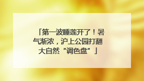 第一波睡莲开了！暑气渐浓，沪上公园打翻大自然“调色盘”