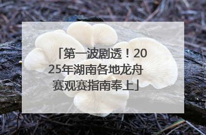 第一波剧透！2025年湖南各地龙舟赛观赛指南奉上