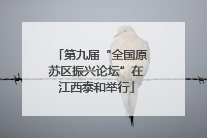 第九届“全国原苏区振兴论坛”在江西泰和举行