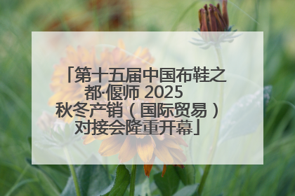 第十五届中国布鞋之都·偃师 2025 秋冬产销（国际贸易）对接会隆重开幕