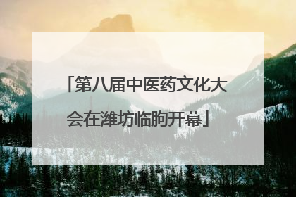第八届中医药文化大会在潍坊临朐开幕
