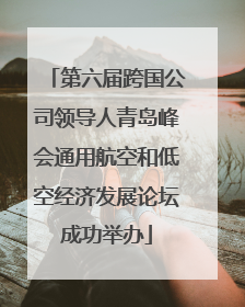 第六届跨国公司领导人青岛峰会通用航空和低空经济发展论坛成功举办