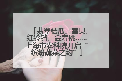 翡翠桔瓜、雪贝、红铃铛、金寿桃……上海市农科院开启“缤纷蔬菜之约”