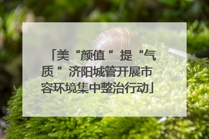 美“颜值 ”提“气质 ”济阳城管开展市容环境集中整治行动