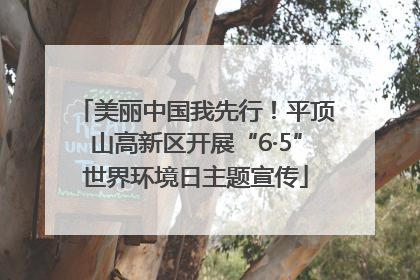 美丽中国我先行！平顶山高新区开展“6·5”世界环境日主题宣传