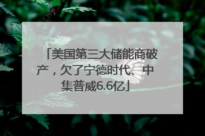 美国第三大储能商破产，欠了宁德时代、中集普威6.6亿