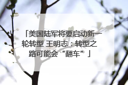 美国陆军将要启动新一轮转型 王明志：转型之路可能会“翻车”