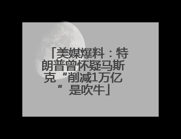 美媒爆料：特朗普曾怀疑马斯克“削减1万亿”是吹牛