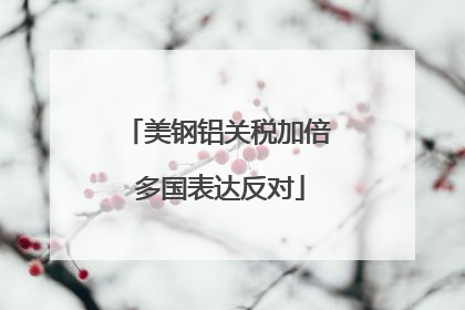美钢铝关税加倍 多国表达反对