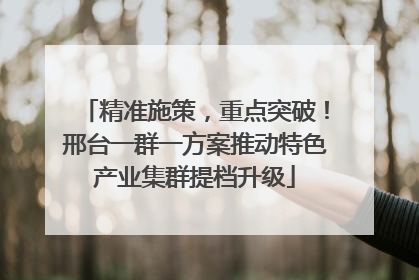 精准施策，重点突破！邢台一群一方案推动特色产业集群提档升级