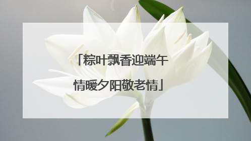 粽叶飘香迎端午 情暖夕阳敬老情