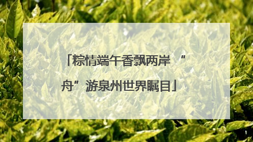 粽情端午香飘两岸 “舟”游泉州世界瞩目