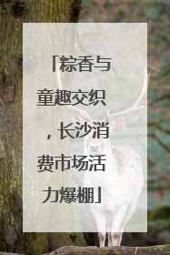 粽香与童趣交织，长沙消费市场活力爆棚