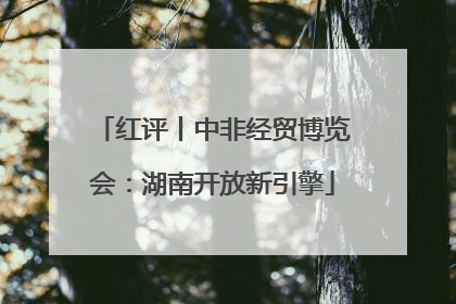 红评丨中非经贸博览会：湖南开放新引擎