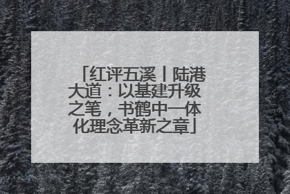 红评五溪丨陆港大道：以基建升级之笔，书鹤中一体化理念革新之章