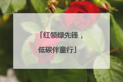 红领绿先锋，低碳伴童行