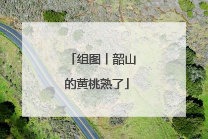 组图丨韶山的黄桃熟了