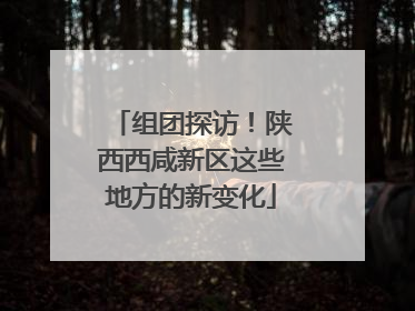 组团探访！陕西西咸新区这些地方的新变化