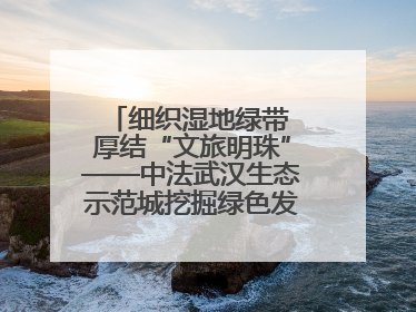 细织湿地绿带 厚结“文旅明珠”——中法武汉生态示范城挖掘绿色发展新动能