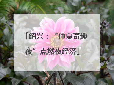 绍兴：“仲夏奇趣夜”点燃夜经济