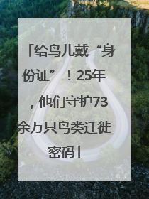 给鸟儿戴“身份证”！25年，他们守护73余万只鸟类迁徙密码