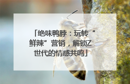 绝味鸭脖：玩转“鲜辣”营销，解锁Z世代的情感共鸣