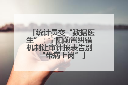 统计员变“数据医生”：宁阳前置纠错机制让审计报表告别“带病上岗”