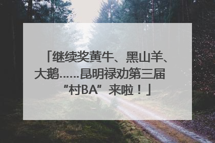 继续奖黄牛、黑山羊、大鹅……昆明禄劝第三届“村BA”来啦！