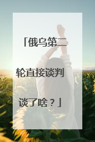 俄乌第二轮直接谈判谈了啥？