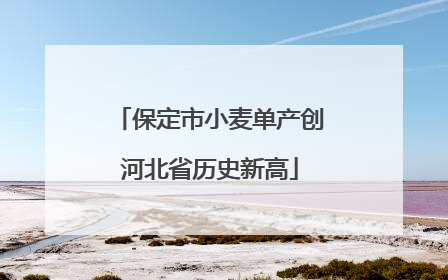 保定市小麦单产创河北省历史新高