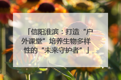 信阳淮滨：打造“户外课堂”培养生物多样性的“未来守护者”