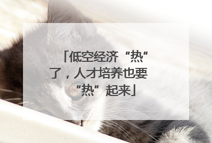 低空经济“热”了，人才培养也要“热”起来