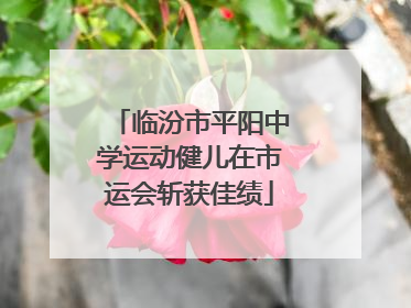 临汾市平阳中学运动健儿在市运会斩获佳绩