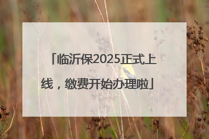 临沂保2025正式上线，缴费开始办理啦