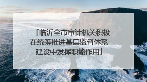 临沂全市审计机关积极在统筹推进基层监督体系建设中发挥职能作用