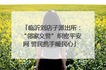 临沂刘店子派出所：“邻家义警”织密平安网 警民携手暖民心