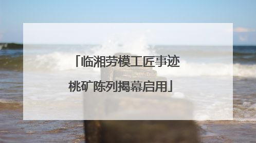 临湘劳模工匠事迹桃矿陈列揭幕启用