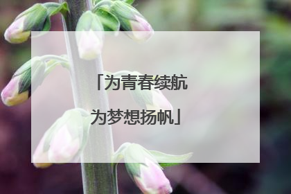 为青春续航 为梦想扬帆