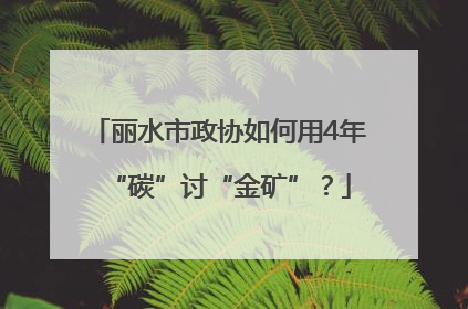 丽水市政协如何用4年“碳”讨“金矿”？