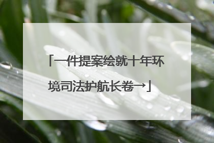 一件提案绘就十年环境司法护航长卷→