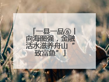 一县一品⑥丨向海图强，金融活水滋养舟山“致富鱼”