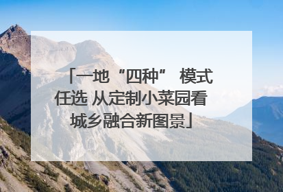 一地“四种” 模式任选 从定制小菜园看城乡融合新图景