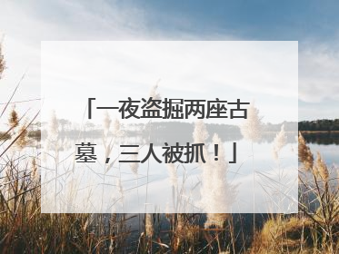 一夜盗掘两座古墓，三人被抓！