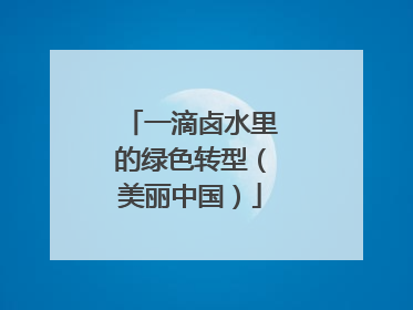 一滴卤水里的绿色转型（美丽中国）