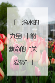 一滴水的力量㉖｜能救命的“关爱码”