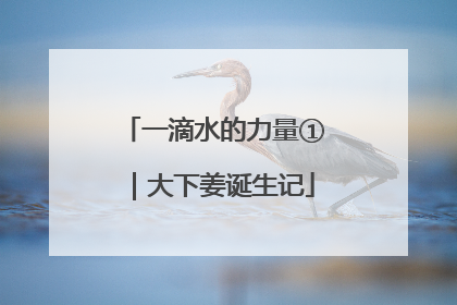 一滴水的力量①｜大下姜诞生记