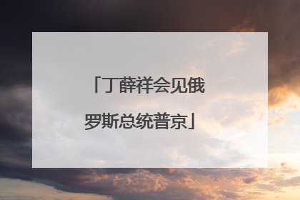 丁薛祥会见俄罗斯总统普京