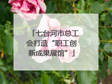 七台河市总工会打造“职工创新成果展馆”