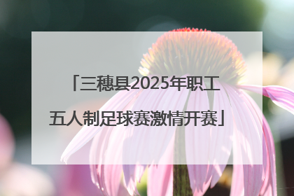 三穗县2025年职工五人制足球赛激情开赛