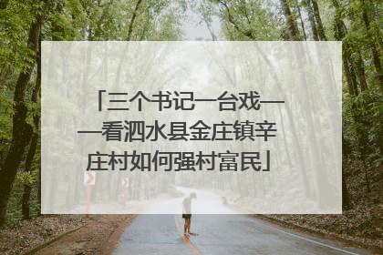 三个书记一台戏——看泗水县金庄镇辛庄村如何强村富民